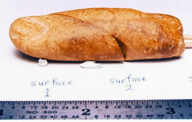 The alleged 100 million year old fossilized finger was found i the 1980's