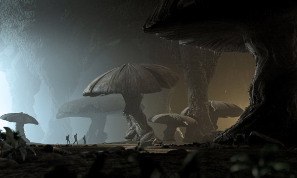 Is there a world inside our "world"?