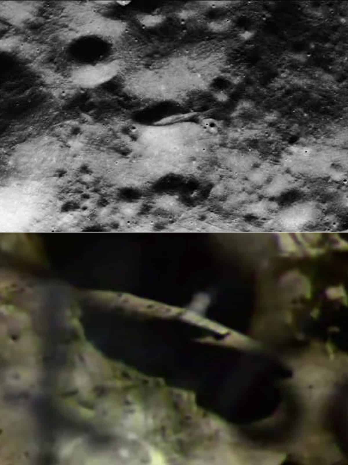 The alleged spacecraft explored by 'Apollo 20'