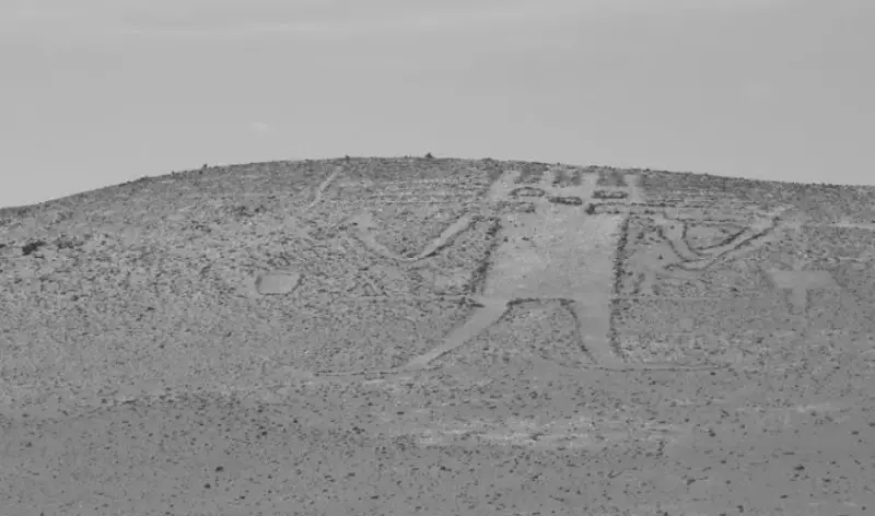 Optimized-Atacama Giant Alien