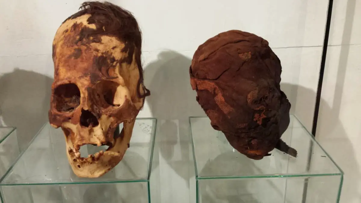 Paracas_skulls