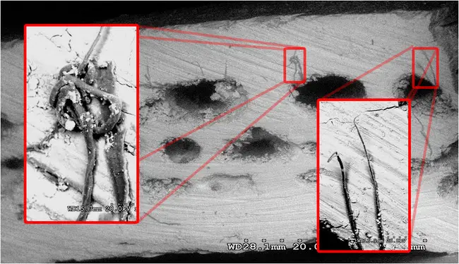 During Pye's DNA testing, he concluded that the genes of this skull had 56 variations from that of a human's. This is odd, as even monkeys only have 2. 